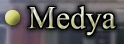 Medya