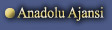 Anadolu Ajansi
