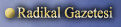 Radikal Gazetesi