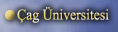 ag niversitesi