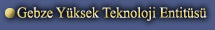 Gebze Yksek Teknoloji Entits