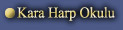 Kara Harp Okulu