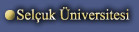 Seluk niversitesi